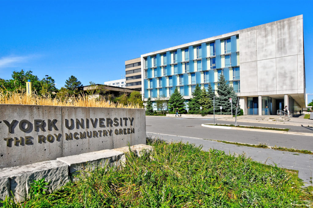York University